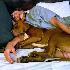 Meet your Posher, Justin